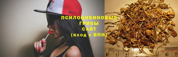 apvp Арсеньев