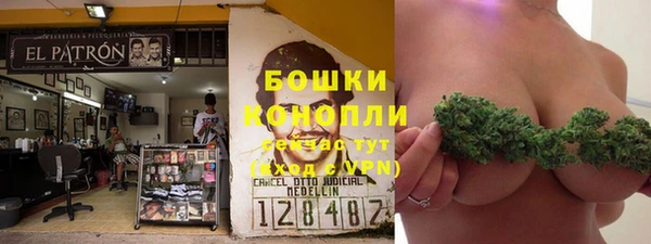 спайс Аркадак