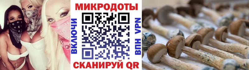 кракен маркетплейс  Усть-Илимск  Псилоцибиновые грибы ЛСД  даркнет сайт 